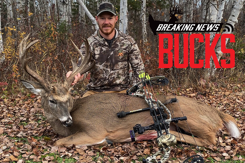 Wisconsin Bowhunter Arrows Palmated Buck on Public Land
