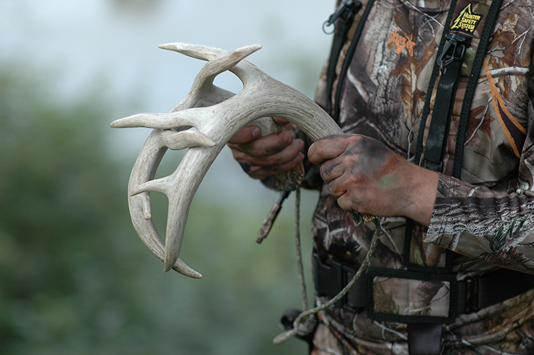 hunter with rattling antlers
