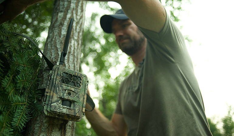 Will Wireless Trail Cameras Make You a Better Hunter?