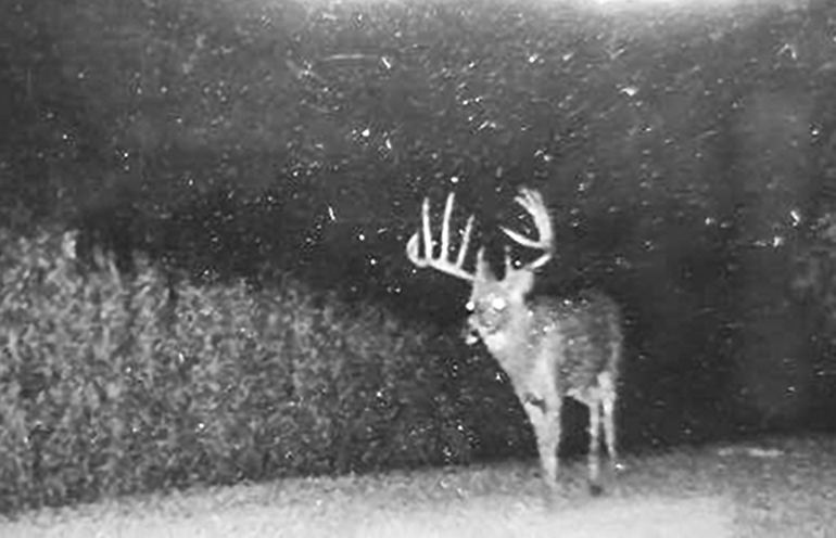 nighttime trail cam photo of Wisconsin record buck