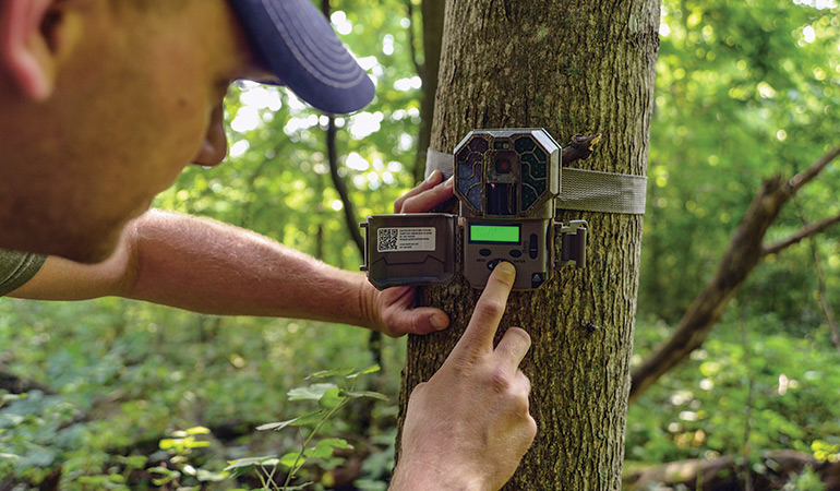 The Best Summer Trail Camera Strategy