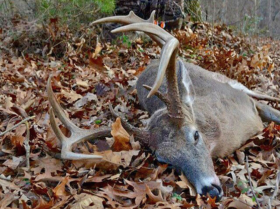 12 Deadly Hunting Tips and Tactics to Score a Monster Buck