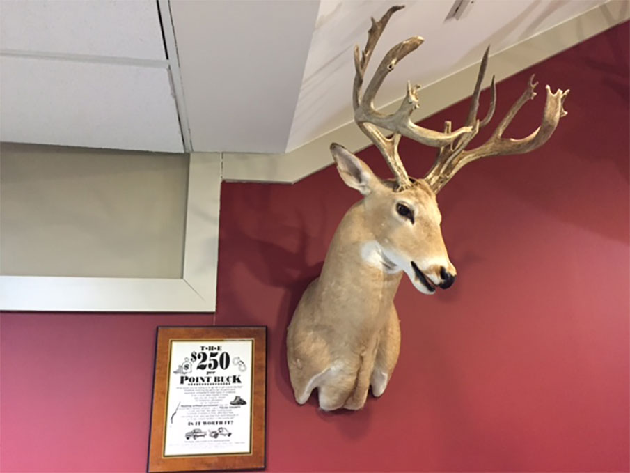 The $250-Per-Point Buck