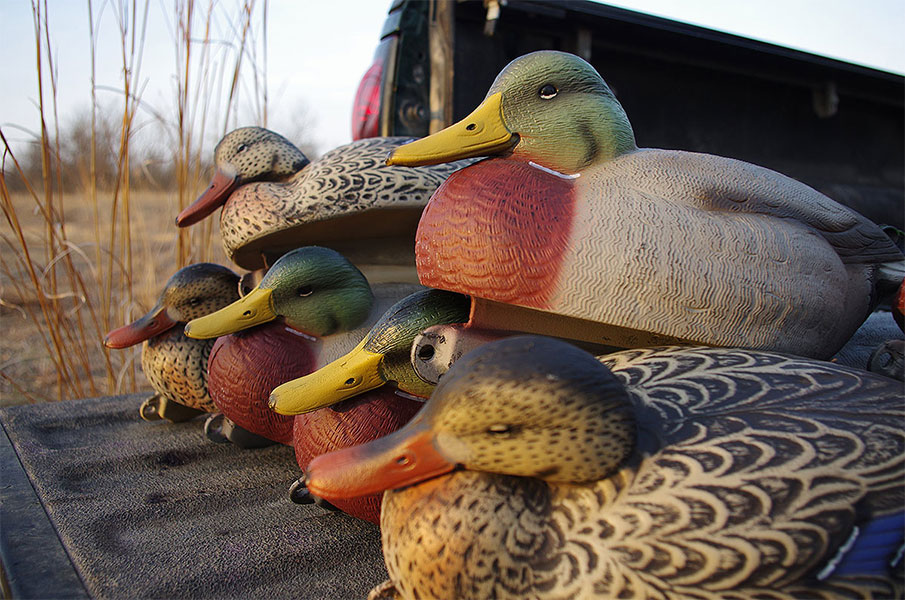 5 Scouting Tips for Scattered Ducks