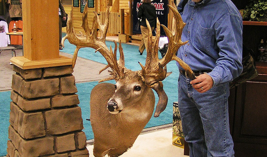 Science of Whitetail Antlers: Big Questions Answered