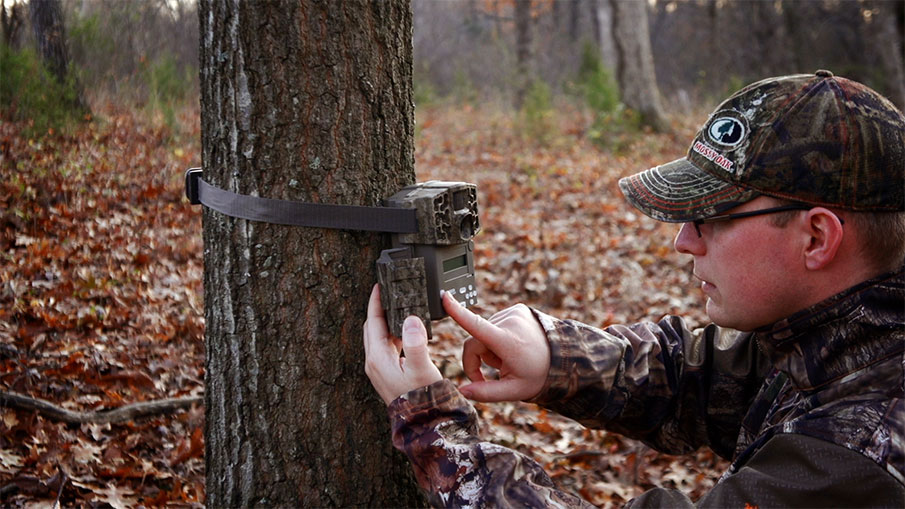 An Easy-to-Use Workhorse Game Camera