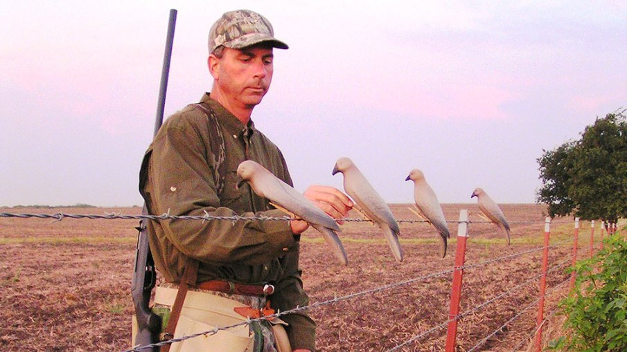 7 Dove Shooting Sins to Avoid