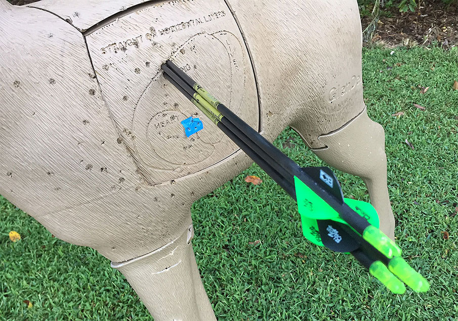 Bow Distance Debate: How Far is Too Far to Shoot?