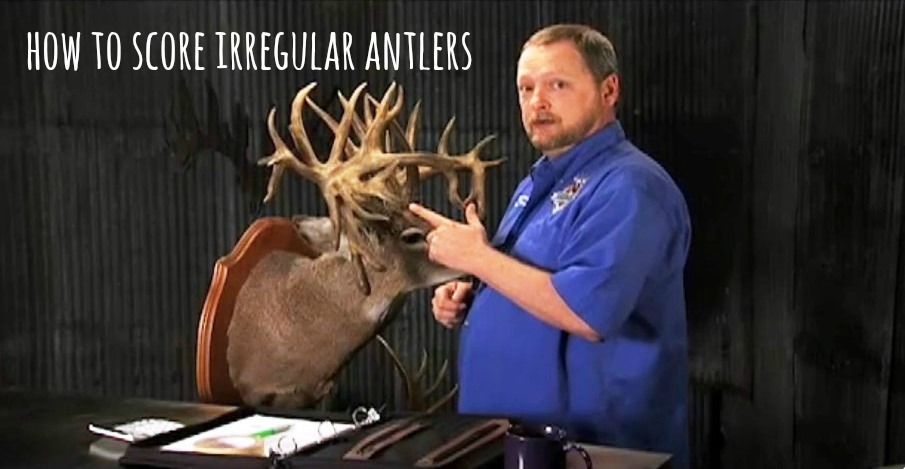 Scoring Irregular Deer (Video)