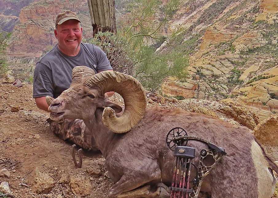 Desert Bighorn Potential New Record Announced by P&Y