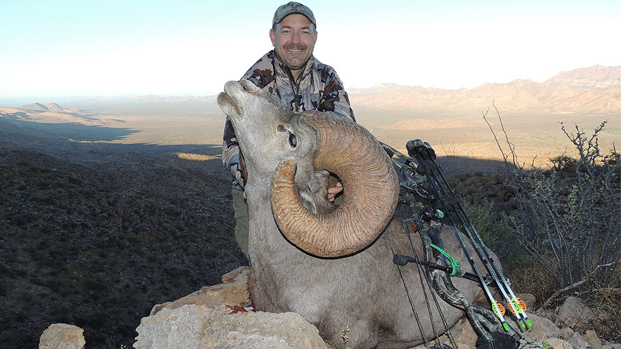 Pope & Young Announces Potential New World Record Desert Bighorn