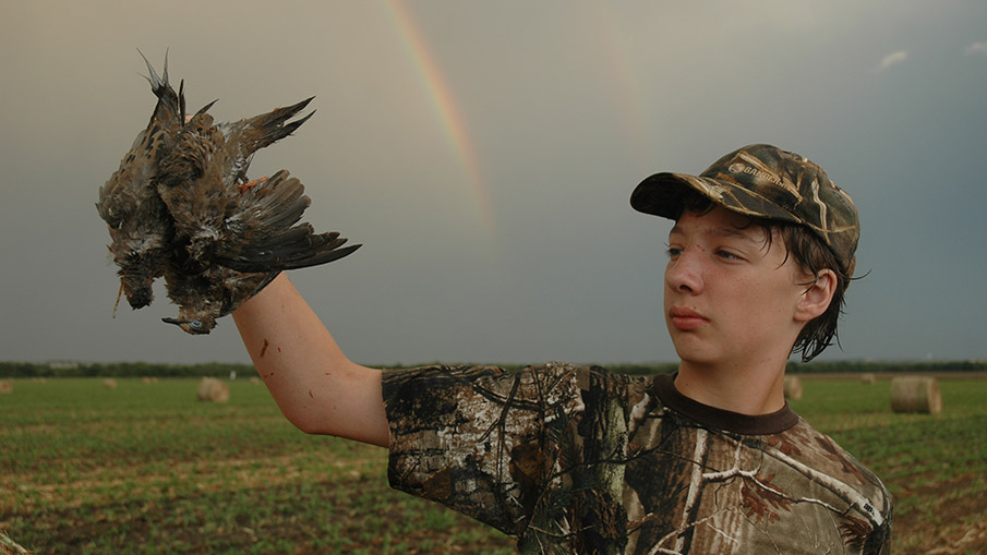 5 Tips for Hunting Wet-Weather Dove