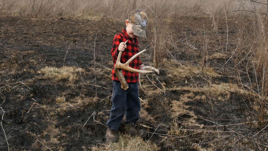 Strategic White-tailed Deer Shed Hunting Tips