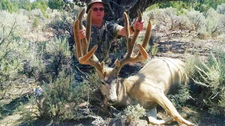 P&Y Confirms 205-plus Mule Deer World Record