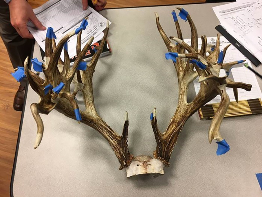 312-Inch Non-Typical Whitetail Confirmed as New Record