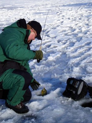 Plop and Hover when Ice Fishing to Catch More Gills