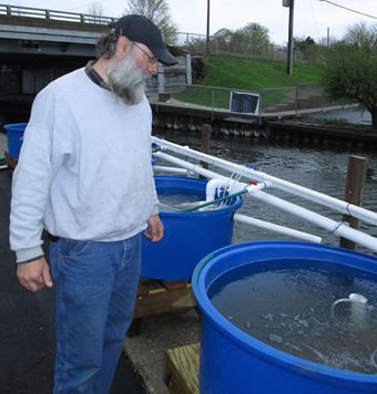 Brian Simon checking the fry holding tanks located in the Abbet Harbor.