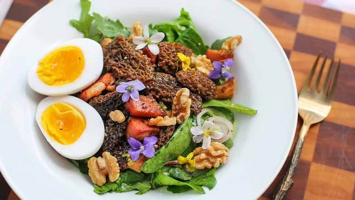 Morel Mushroom, Bacon and Duck Egg Salad Recipe