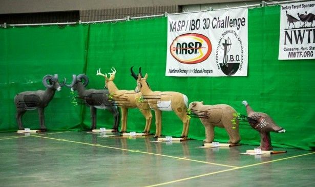 This was the first year a 3-D challenge was offered, which included foam figures of turkey, deer, bear, antelope and sheep. (Courtesy NASP)