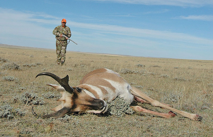 Didn't Draw a Tag: 7 Tips for ‘Plan C' Western Hunting Success