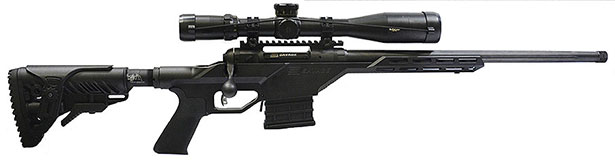 Savage Model 10 BA Stealth Rifle