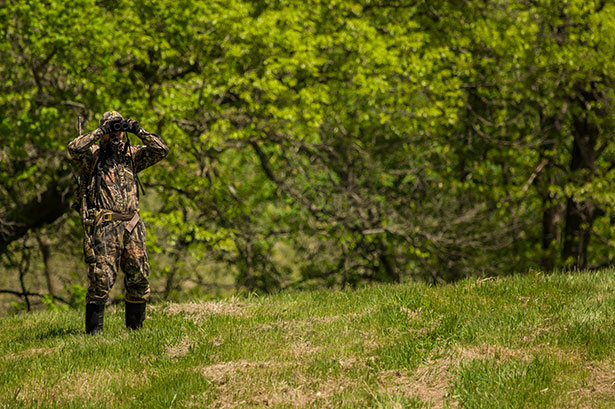 Spring Turkey Scout Tips for Success
