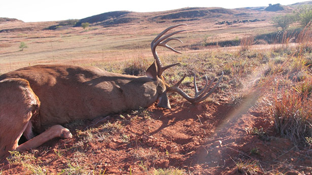 the ultimate rut hunting guide all day hunt