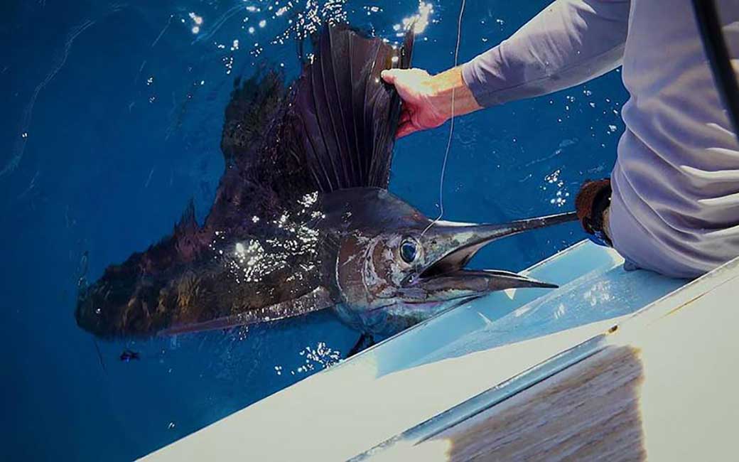 Modern Fishing with Jared Jeffries Outdoor Channel