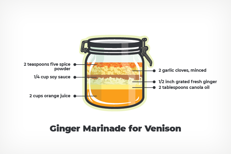 Ginger Marinade Recipe for Venison