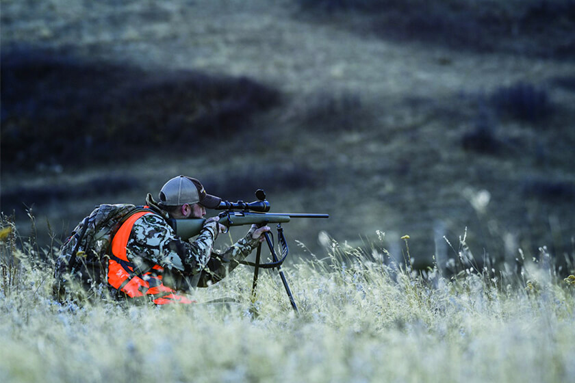 The Right Gun for the Job: Whitetail Deer Hunting