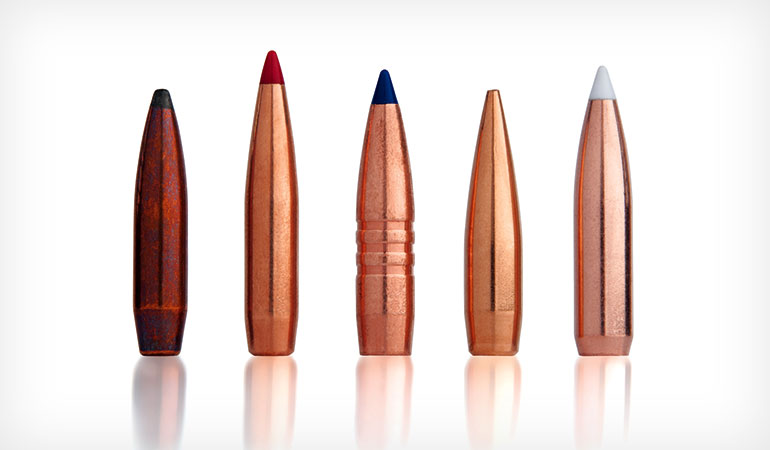 5 Accurate Reloading Bullets for Hunting