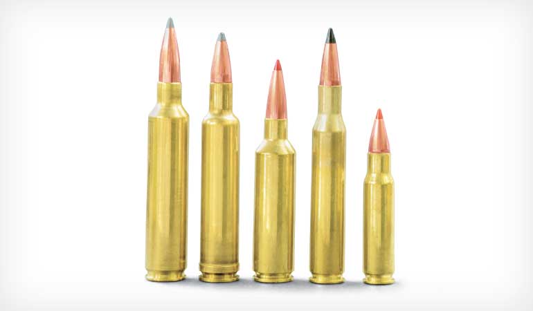 5 Great .270 Rifle Cartridges
