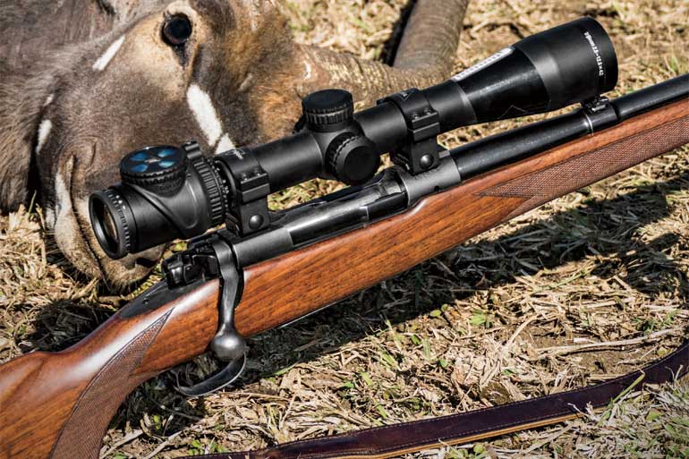 Pre-'64 Winchester Model 70 .300 H&H Review