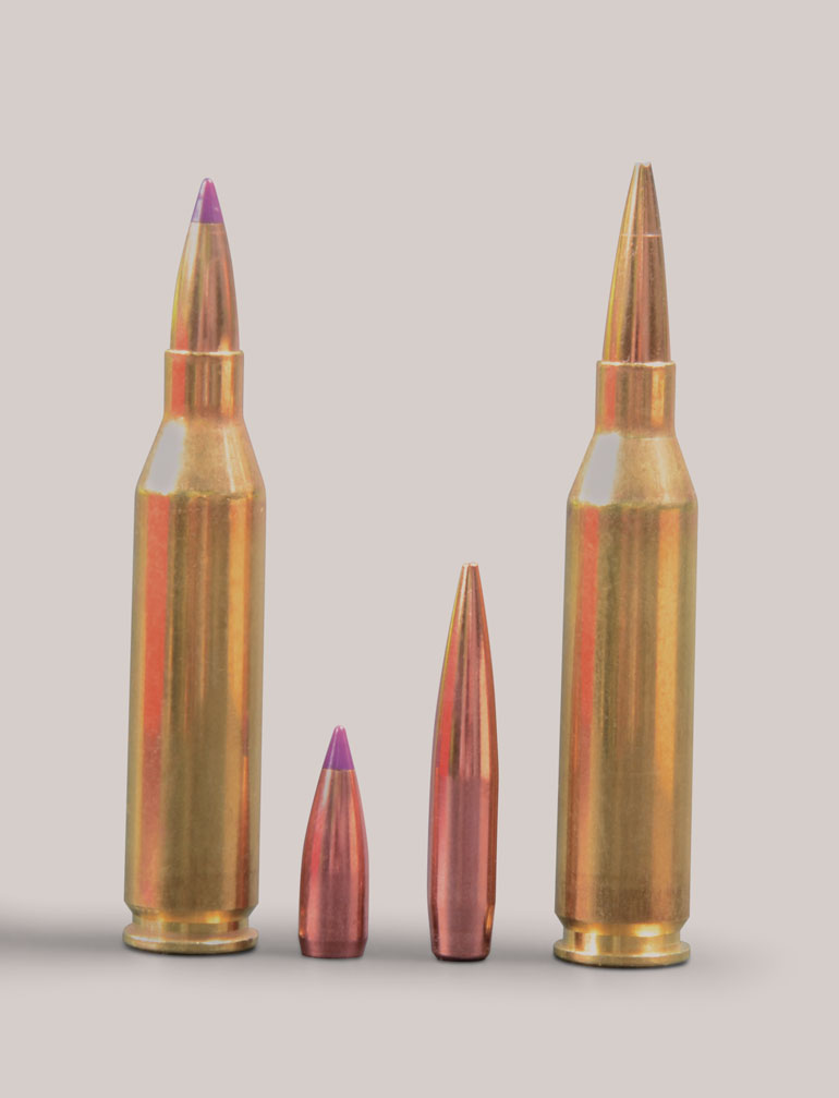 Remington-Model-783-Varmint