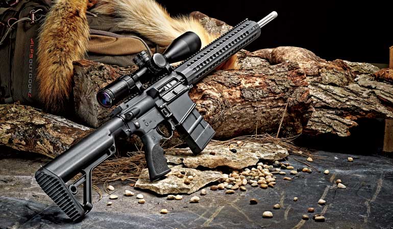 Review: Rock River Arms Predator HP