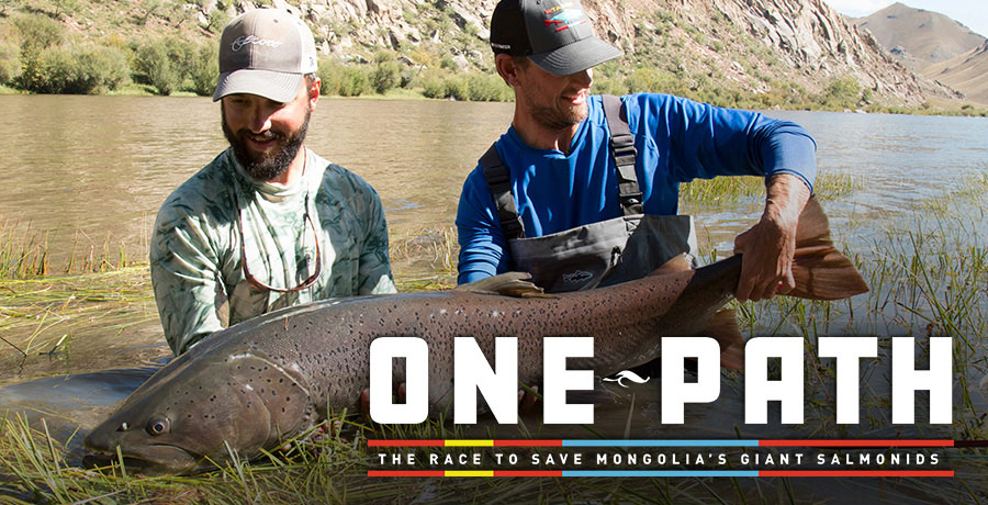 One Path: The Race to Save Mongolia's Giant Salmonids