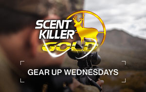 Gear up Wednesdays