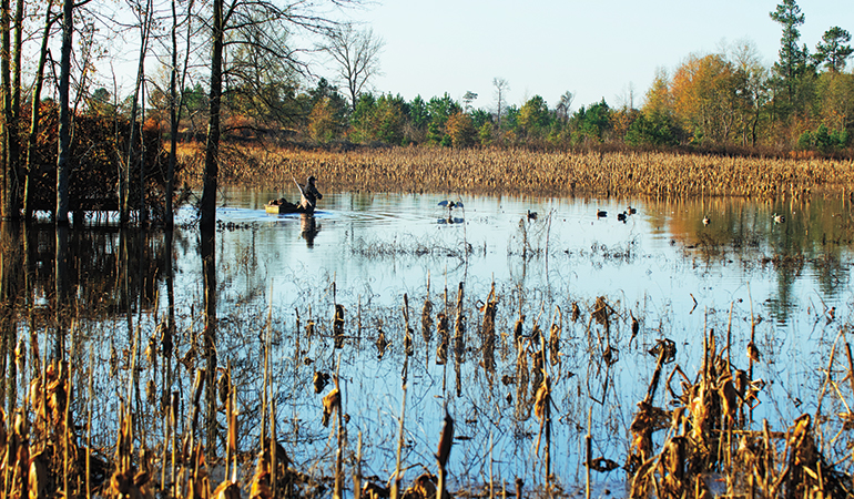 Is Hunting Waterfowl in Flooded Corn Fair Chase?