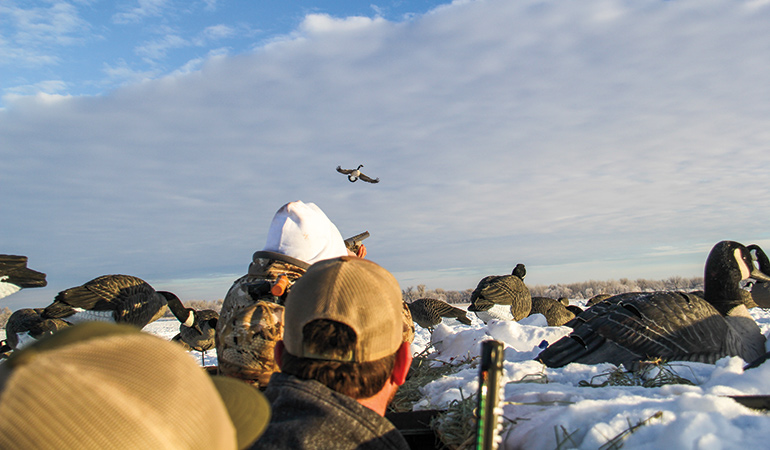 Is Nebraska Better Than Canada for Waterfowl Hunting?