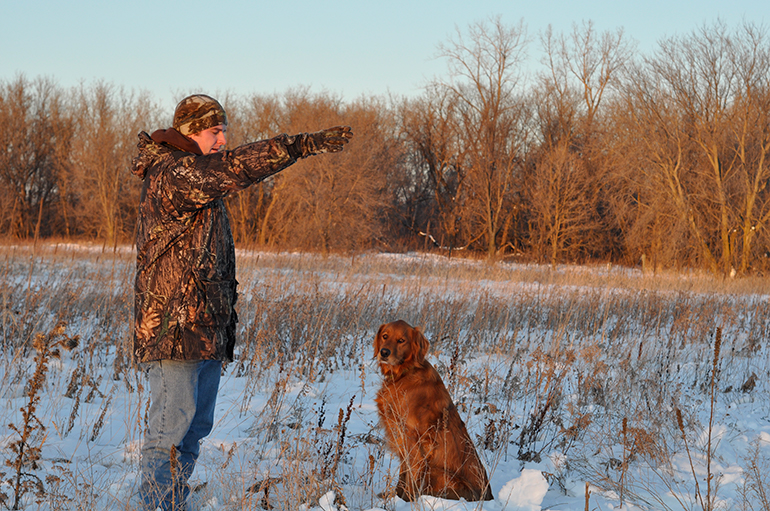 hunter teaching dog hand signals