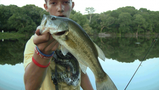 6-18-14 bass