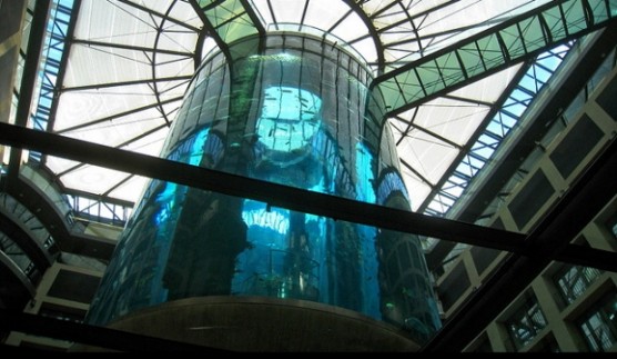 aquadom