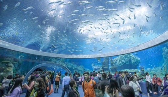 Hengqin ocean kingdom