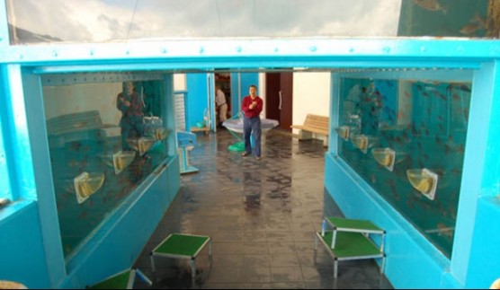 oita marine center feeding tank