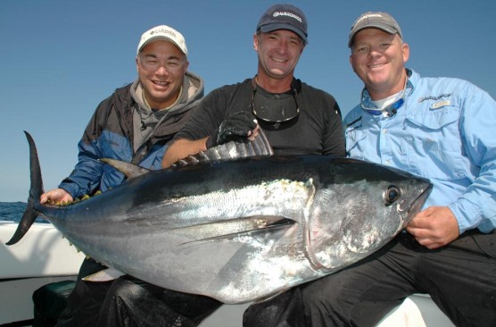 CapeCodTuna1
