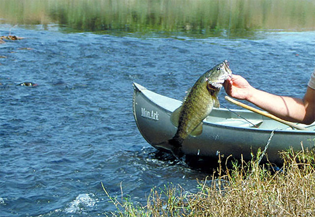 Bass Fishing Remote Areas by Canoe