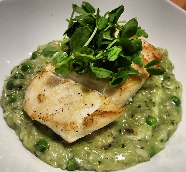 Wild Halibut with Green Pea and Pancetta Risotto
