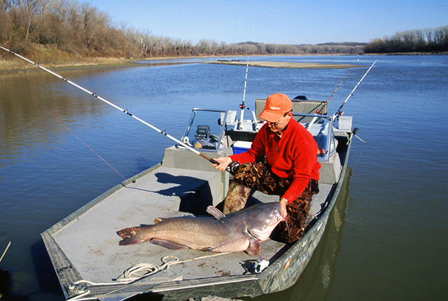 10 Best States for Catfishing