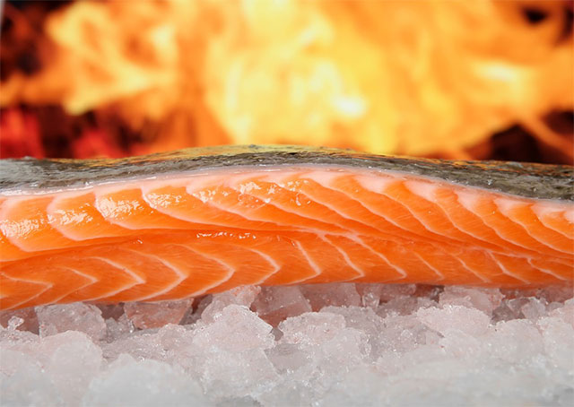 How to Hot Smoke Salmon