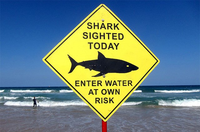 Increased Shark Attacks Predicted for 2016